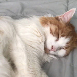 Meet your Posher, Leah